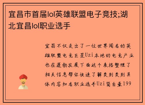 宜昌市首届lol英雄联盟电子竞技;湖北宜昌lol职业选手